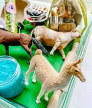 Load image into Gallery viewer, At the Farm Deluxe Play Dough Box