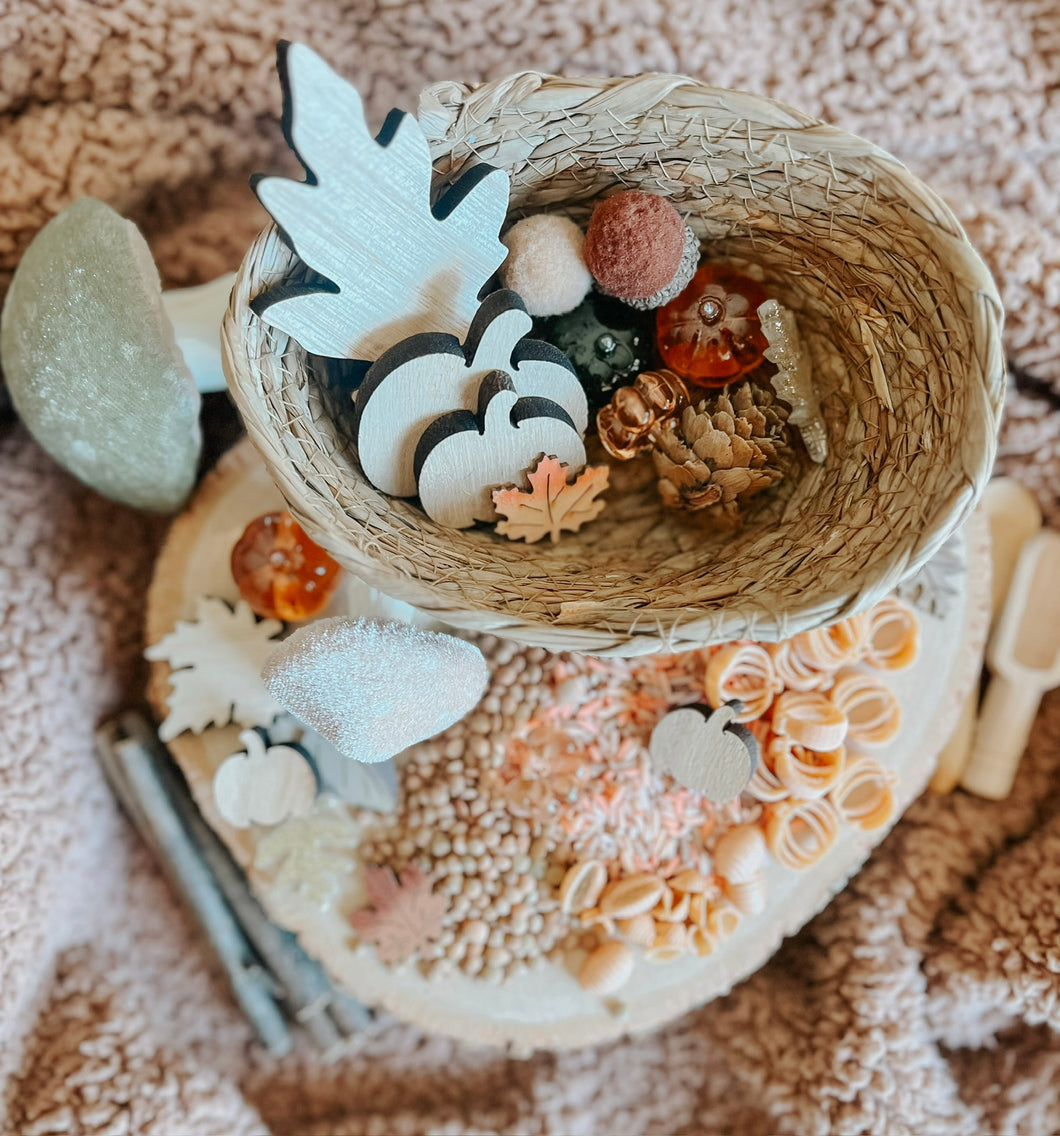 I am Autumn Sensory Bin Filler